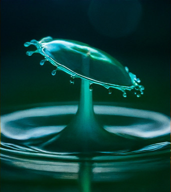 창의력과 상상력 가득한 탐험 공간